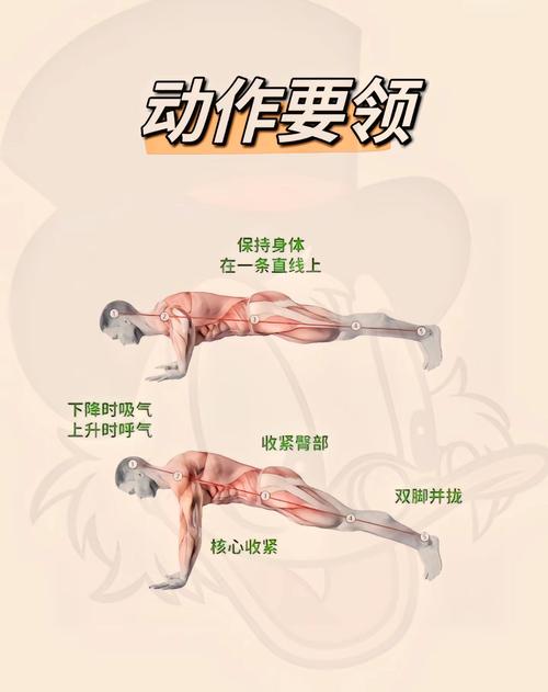 标准俯卧撑动作详解